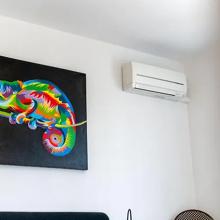 Ollie'S House Apartamento