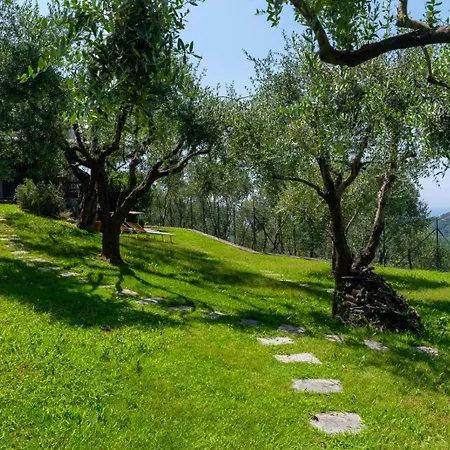 Lägenhet Ollie's House