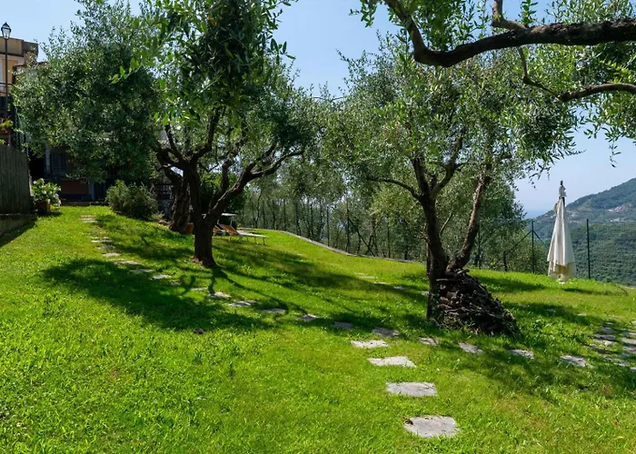 Apartman Ollie's House